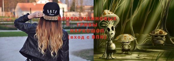 PSILOCYBIN Горно-Алтайск