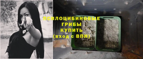 гидра Горнозаводск