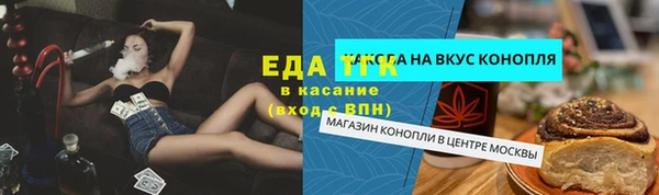 гидра Горнозаводск