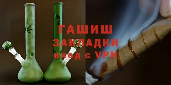 гидра Горнозаводск