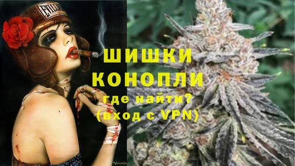PSILOCYBIN Горно-Алтайск