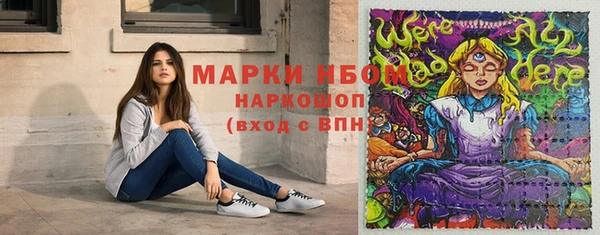 PSILOCYBIN Горно-Алтайск