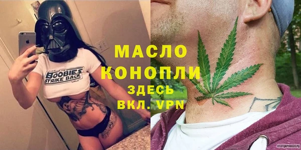 сатива Инсар