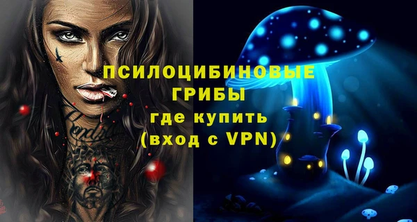 метадон Горняк