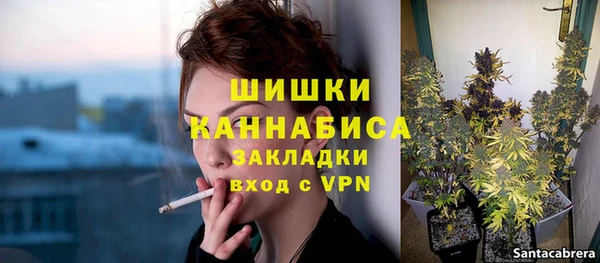 гидра Горнозаводск