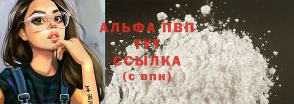 гидра Горнозаводск