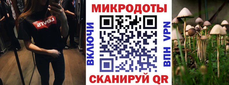 Псилоцибиновые грибы Psilocybine cubensis Ивангород